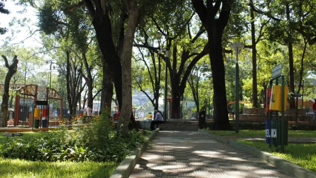 El valor del verde: Asunción enfrenta el reto de transformar plazas y parques en una inversión de salud y bienestar