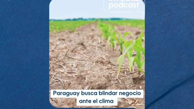 Paraguay debe blindar negocios ante eventos climáticos, según economista
