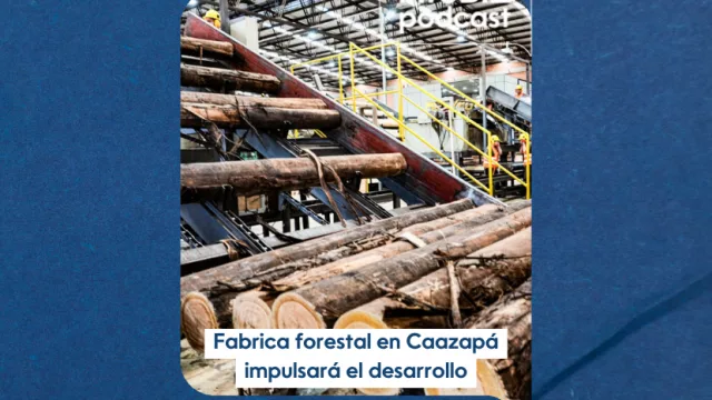 Petricor inaugura fábrica forestal en Caazapá, TLC con China: ¿vía rápida a la inversión o golpazo económico? y mucho más
