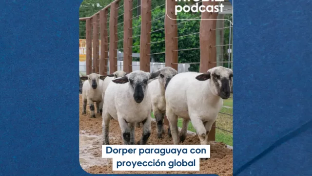 La Dorper paraguaya se mide ante élites mundiales