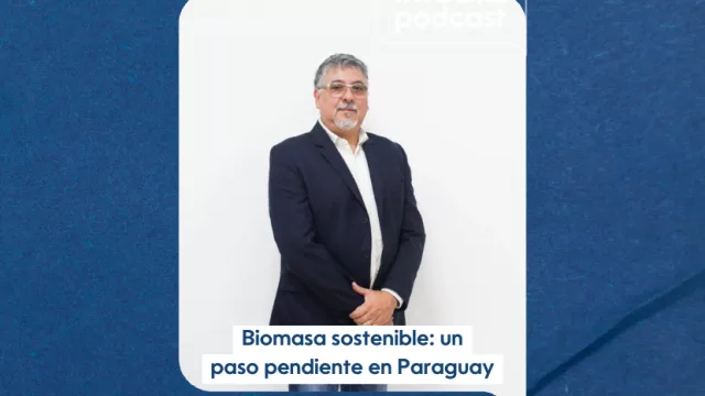 Biomasa sostenible: un paso pendiente en Paraguay