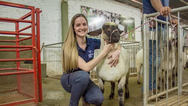 Hampshire Down prepara su cuarto remate Full HD con novedades y causa solidaria