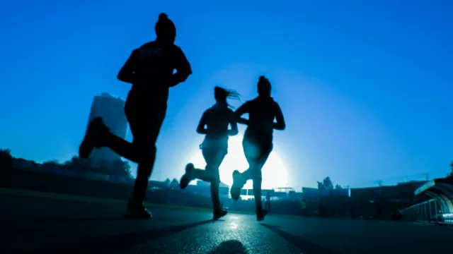 ¿Con qué marca preferís ejercitarte?