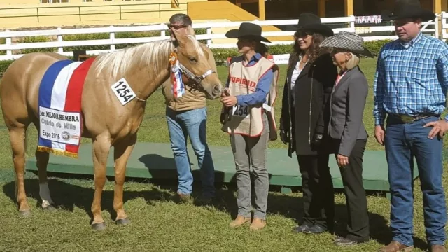 Arre el negocio: primer equino exportado a EE.UU. marca acceso a un mercado premium