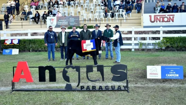 Christian Galeano: “Fue un año de auge. Vimos un interés muy fuerte del productor por la calidad que entrega Angus”