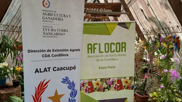 Economía que florece: 33 productores de Cordillera impulsan un negocio floral con orquídeas, plantas medicinales y atención 24/7