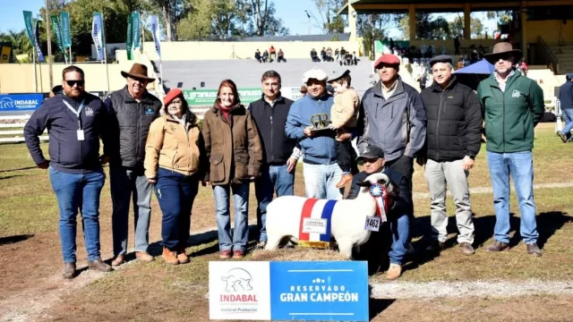 Hampshire Down traza el 2026: más exposiciones regionales, impulso gastronómico y nuevos mercados