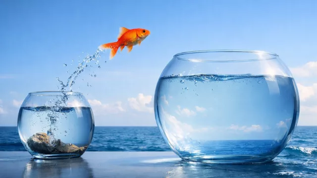 La rebelión de la mandioca y el síndrome de la pecera