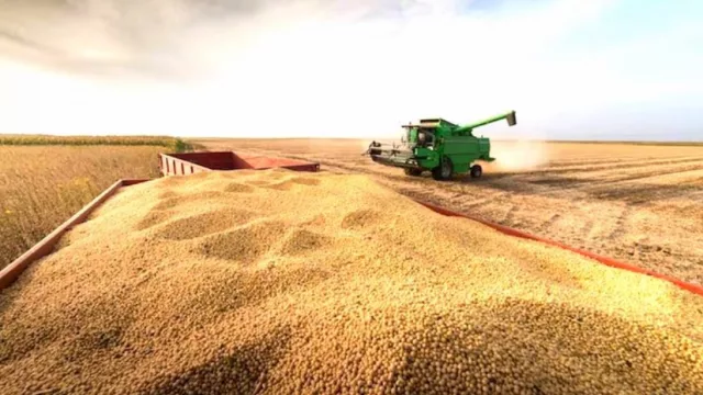 Entre cosechas récord y desafíos de mercado: el agro paraguayo define su hoja de ruta para un 2026 más exigente