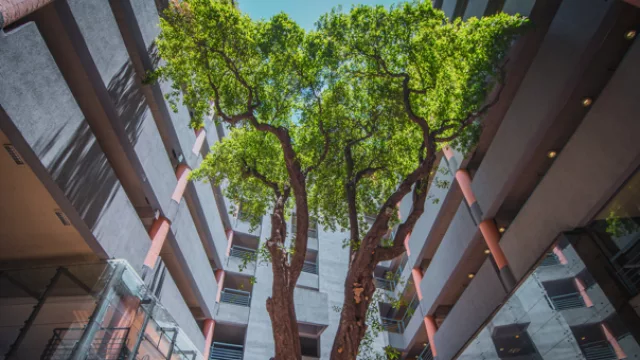 La UAA abre inscripciones con carreras acreditadas y fuerte proyección internacional