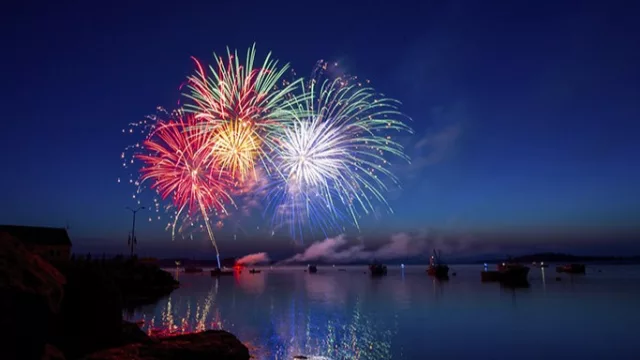 Fuegos artificiales y estrés: cómo proteger a tus mascotas en las fiestas