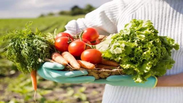 Más allá del crédito: Titulación y gestión, las claves para transformar al pequeño productor