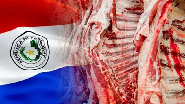 Exportaciones de carne superaron los US$ 1.900 millones y estos fueron los principales destinos