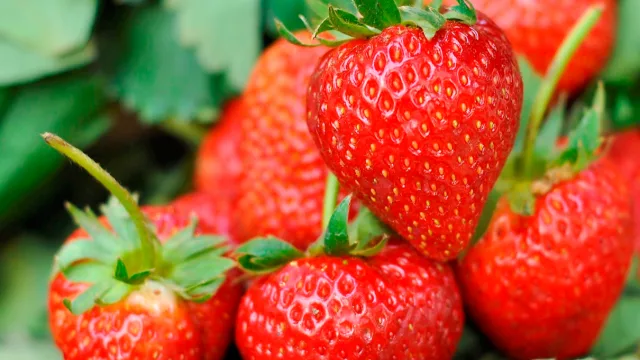 Top 10 de frutas mejor valoradas en el mundo: sabor, origen y atractivo global