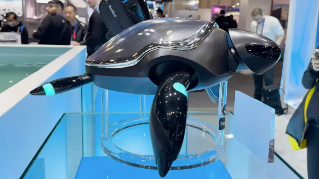 No es una tortuga, pero se mueve como una: el robot que explora el océano sin ser detectado