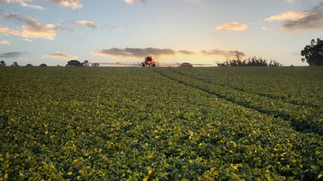 Buen arranque de zafra: el sector apunta a superar los 10,5 millones de toneladas en esta campaña