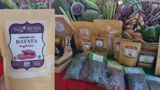 Mujeres de Paraguarí producen harina orgánica a partir de cultivos propios (desde calabaza y remolacha hasta perejil y batata)