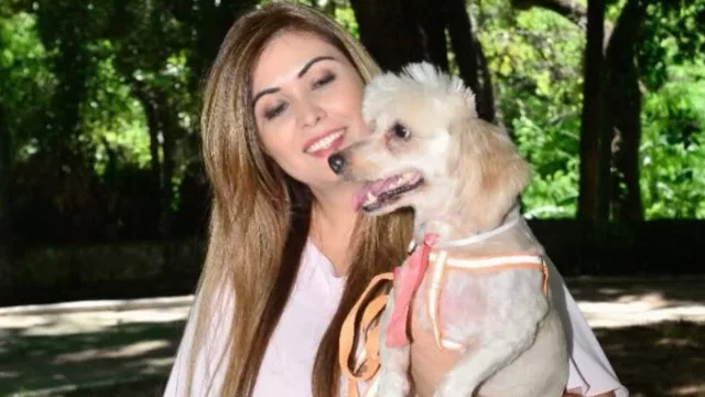 Cambio histórico en el derecho paraguayo: la Ley 7513/25 reconoce a los animales como seres sintientes y ya no como cosas