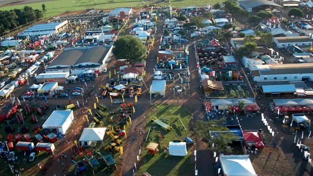 La expo que mueve Canindeyú: 339 animales inscriptos y 120 expositores con foco en la inversión brasileña
