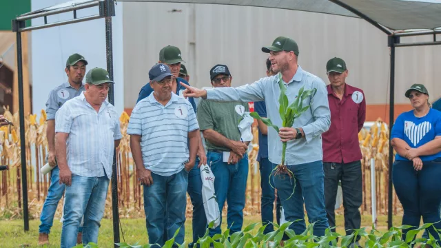 ¿Cuáles son las principales tendencias que marcan el mercado agropecuario?