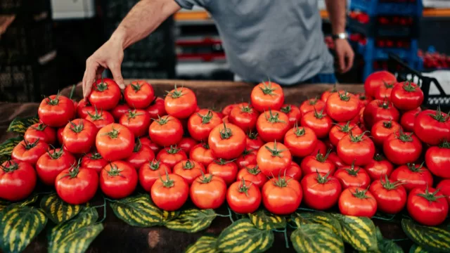 Del campo a la góndola: el tomate duplica su precio, ¿en qué tramo de la cadena se encarece?