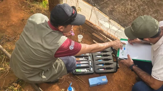 Tecnología israelí impulsa al tomate paraguayo (241 técnicos y productores capacitados)