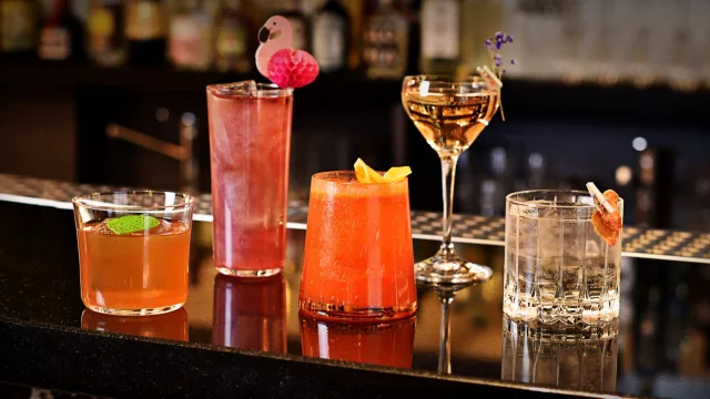 ¿Cuál de estos bares temáticos es tu favorito?