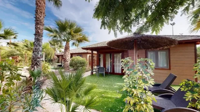 Los campings españoles crecen un 3% en 2025 (triplicando la media europea)