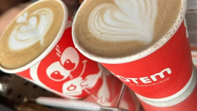 Llega Mandioca Fest, la propuesta que combina café de especialidad, música y sabores locales