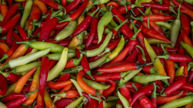 Desde Canindeyú hasta Luisiana, el ají paraguayo concreta su primera exportación a EE.UU.