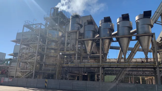 Agroindustria arranca 2026 con más molienda y exportaciones: el complejo soja generó US$ 306 millones en enero