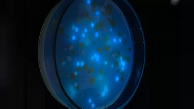 Biotecnología en auge: Paraguay vuelve a activar su red científica con el congreso RedBioPy