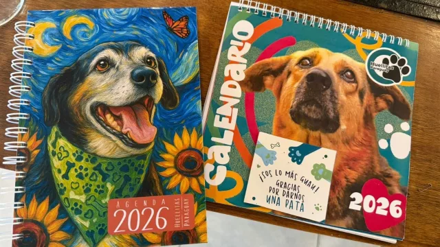 12 meses, 12 historias: Huellitas Paraguay lanza agenda y calendario para apoyar su refugio