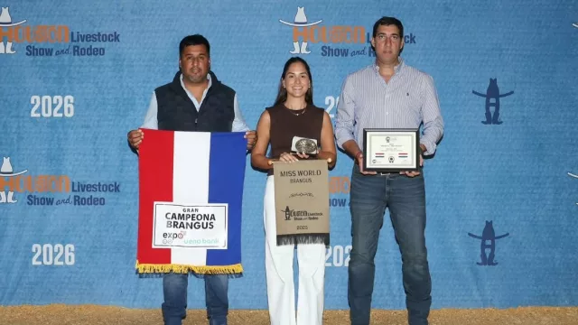 La mejor vaca Brangus del mundo es paraguaya: La Guachita se impone en Houston