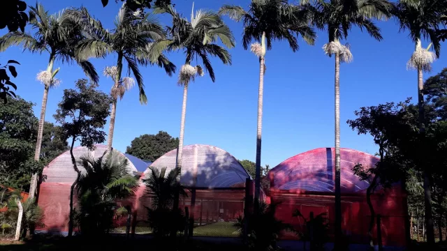 Cultivar en agua y vender en el barrio: la hidroponía floating abre oportunidades en Caaguazú