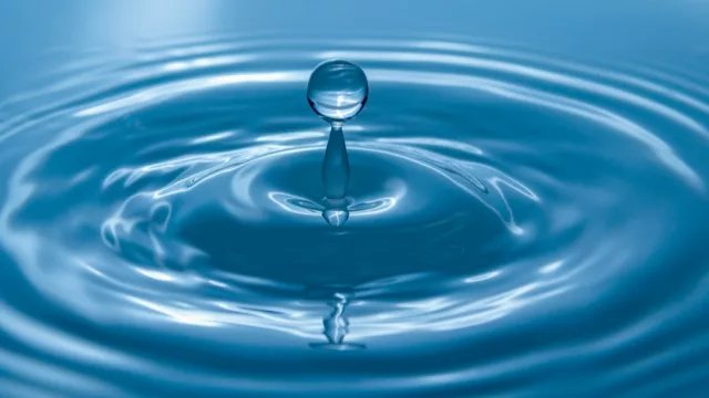 El desafío del agua redefine el futuro alimentario de América Latina: impacto en empleo, producción y sostenibilidad