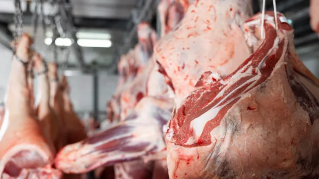 Cámara de Carnes señala que la industria local está lista para crecer (el desafío está en la oferta ganadera)