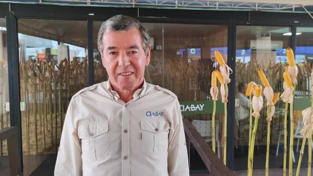 El mercado de insumos agrícolas arranca impulsado por mejores rindes y mayor inversión (tecnología y manejo ganan protagonismo)