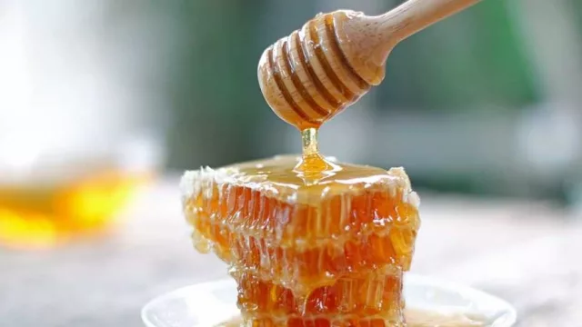 Miel orgánica de Ñeembucú presume certificación de origen, con precios premium y plan de expansión comercial