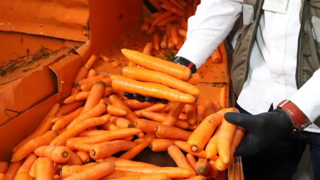 Paraguay gana terreno como proveedor frutihortícola para Argentina (buscan cítricos, locote y zanahoria con valor exportable)