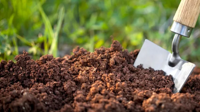 Biopreparados orgánicos, la práctica que mejora la nutrición de los cultivos, reduce costos y es más sostenible