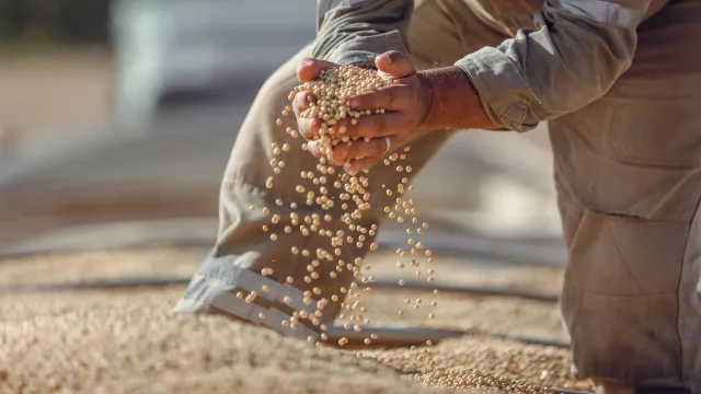 Exportaciones empujadas por la soja dejan superávit de US$ 83,5 millones al cierre de marzo