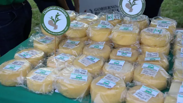 Cooperativa Koeju consigue marca propia y apunta a incrementar producción de queso mozzarella (el más rentable)