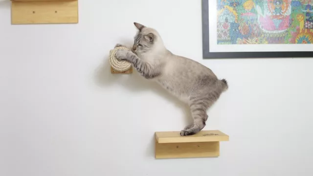 Cat Park fabrica parque de diversiones para gatos (y a la medida de tu espacio)