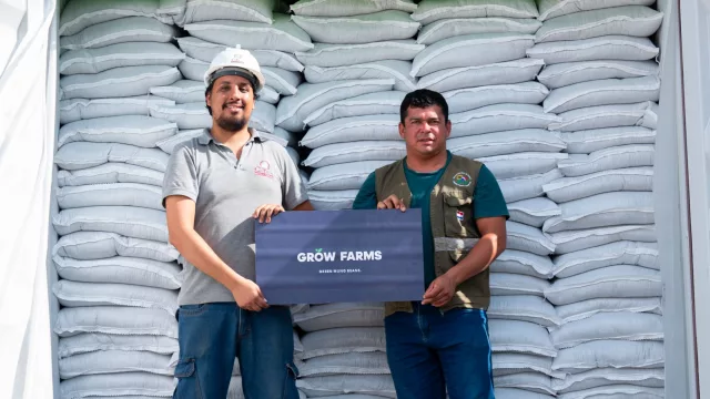 Nuevo grano estrella: poroto mungo abre negocios por US$ 2.000 millones (empezó en Tailandia y va por Taiwán)