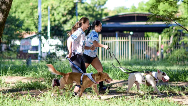 Huellitas Run, la carrera para reunir hasta 1.000 corredores para financiar un nuevo refugio en San Antonio