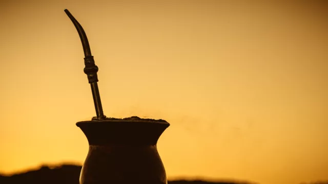 ¿Qué marca te acompaña mejor a la hora del mate?