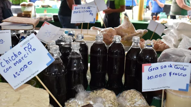 Cómo productoras de Caacupé convirtieron excedentes de uva en 5.000 litros de vino artesanal
