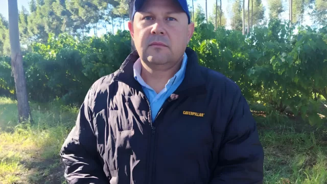 Chuta hecha en Paraguay: el cultivo que encontró escala y ya exporta a Alemania