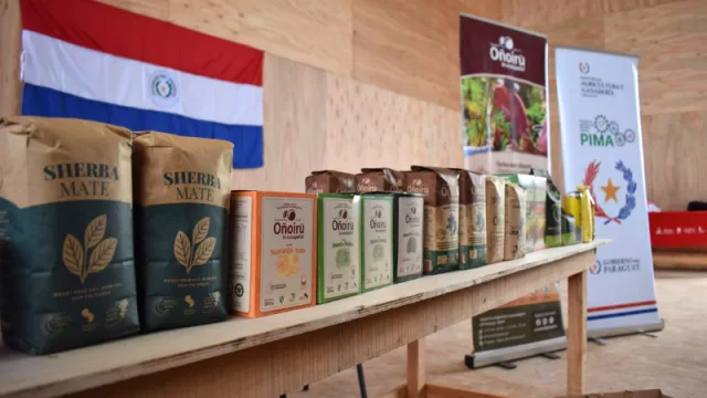 Oñoirũ mira a Europa: la yerba mate orgánica de Itapúa tendrá tienda propia en Polonia para atender a más de 30 países